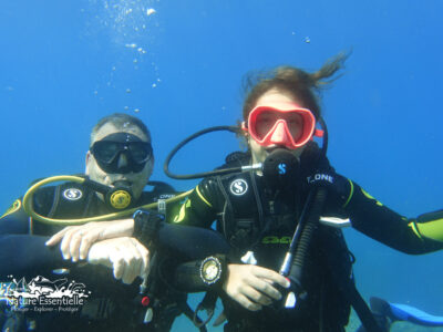 STAGE PLONGEE-S34-40